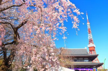 Torre de Tokio: Un Viaje a la Grandeza Vertical