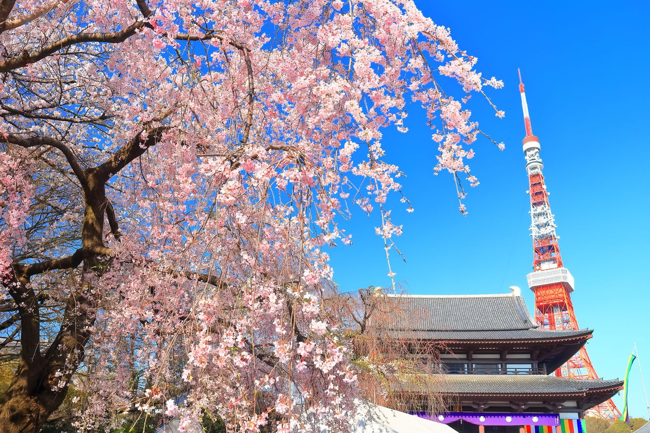 Torre de Tokio