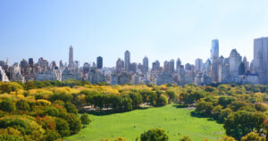 Central Park: El Oasis Verde de la Ciudad que Nunca Duerme