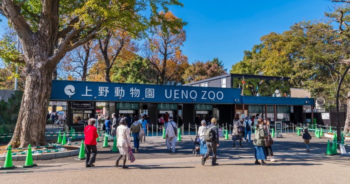 tokyo ueno zoo